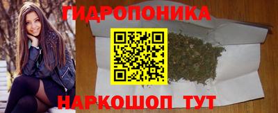 стаф Заволжье
