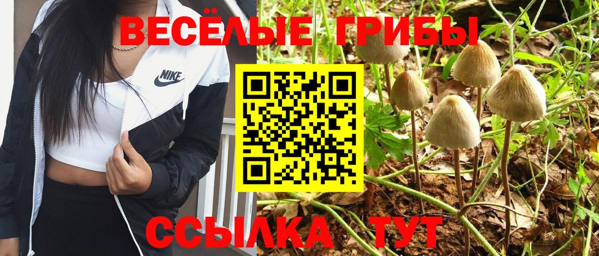 Людиново  Галлюциногенные грибы Cubensis  Псилоцибиновые грибы Psilocybe  Вход с VPN 